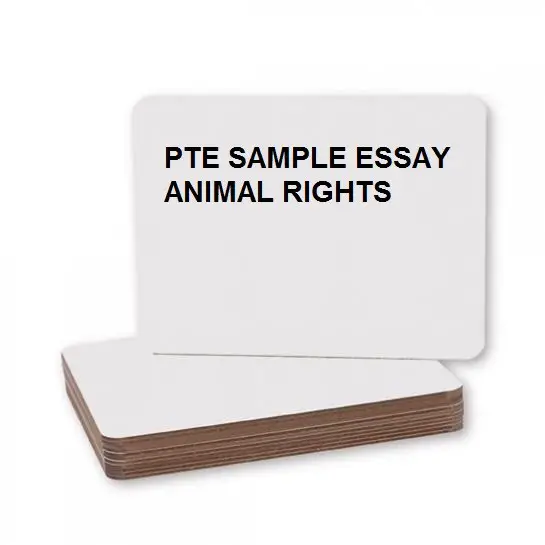 Rights essay